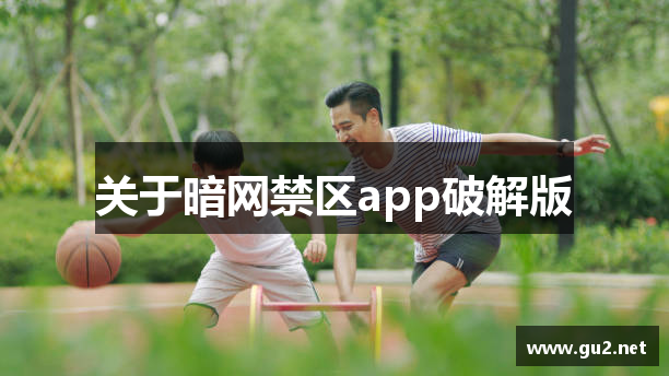 关于暗网禁区app破解版